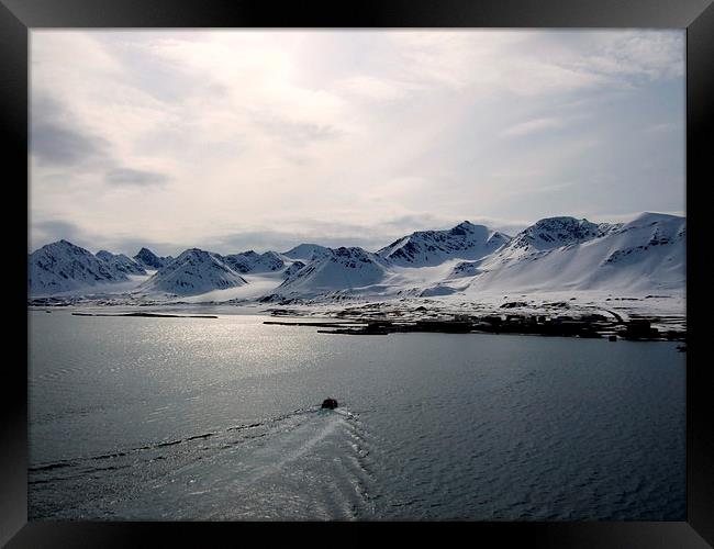 Arctic Circle Boat Ride Framed Print by Bill Lighterness