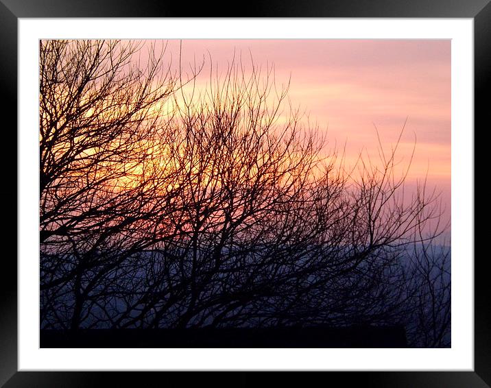 Spring Sunset through the bare trees Framed Mounted Print by Bill Lighterness