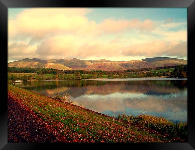 Ochil Hills in Autumn Framed Print by Bill Lighterness