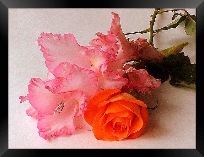 The Gladiola & the Rose Framed Print by Bill Lighterness