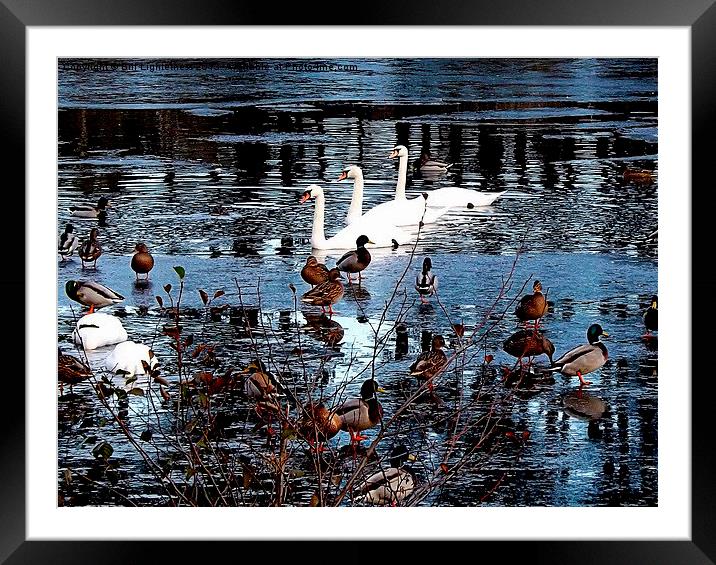 Three in a Row Framed Mounted Print by Bill Lighterness