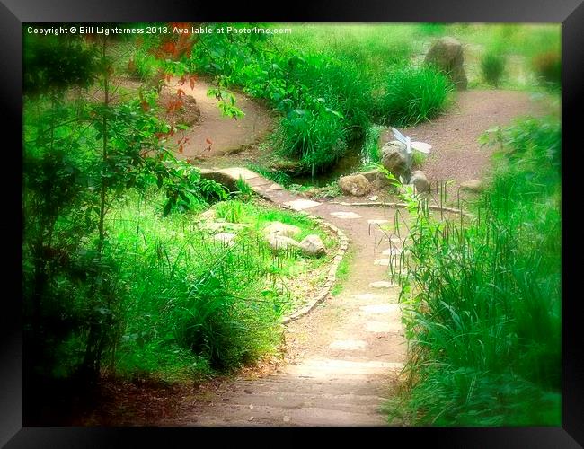 Japanese Garden Within Framed Print by Bill Lighterness