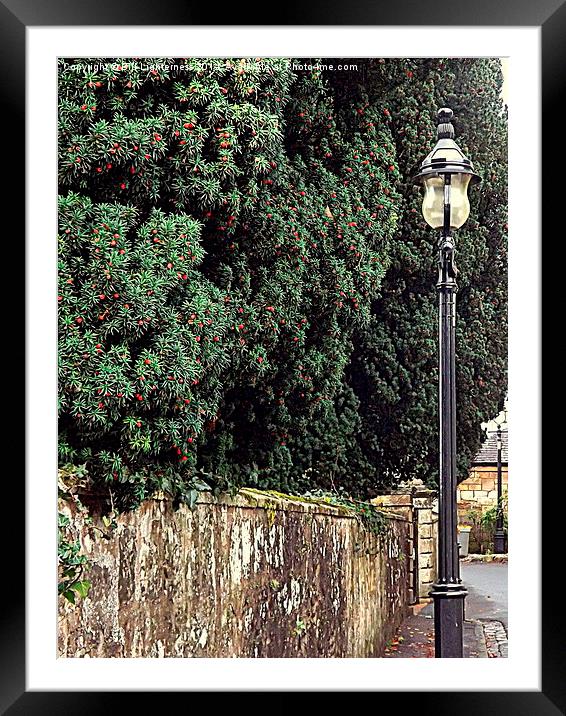 Red Berries and a Lampost Framed Mounted Print by Bill Lighterness