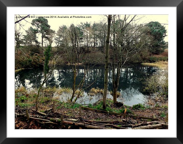 Reflections on a dull day Framed Mounted Print by Bill Lighterness
