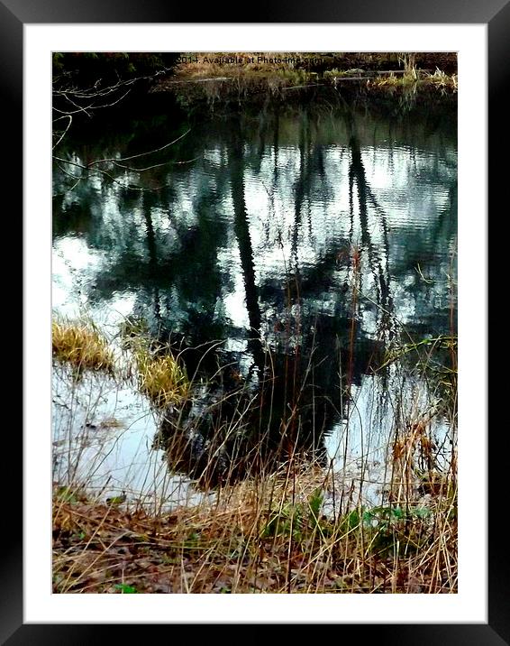 Trees in a Rippled Pond Framed Mounted Print by Bill Lighterness