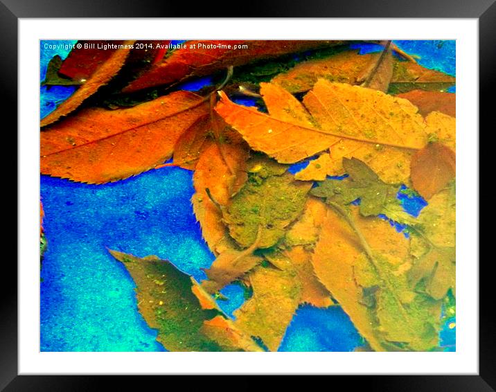 Autumn Leaves Under the Water Framed Mounted Print by Bill Lighterness
