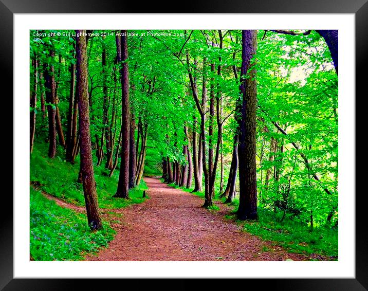 A Walk in the Woods Framed Mounted Print by Bill Lighterness