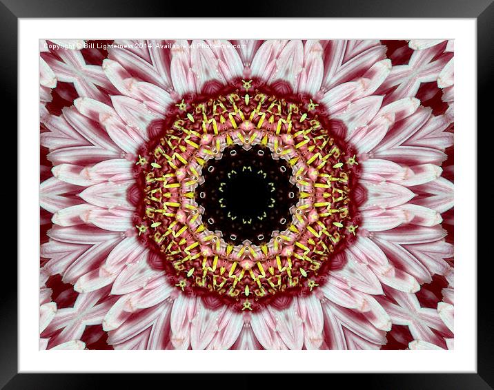 Floral Kaleidoscope Art Framed Mounted Print by Bill Lighterness