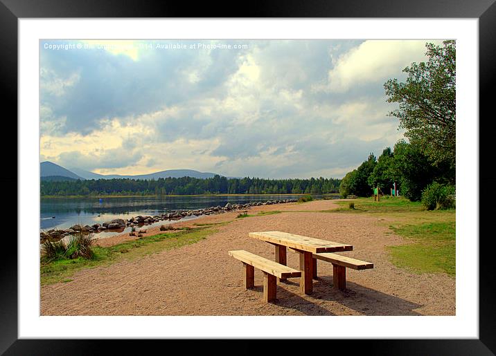  Picnic Anyone ? Framed Mounted Print by Bill Lighterness