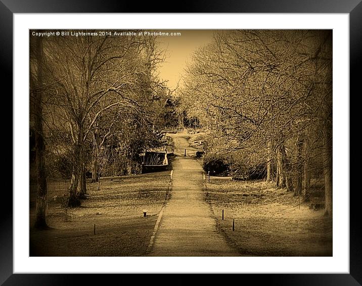  Bare Winter Trees Framed Mounted Print by Bill Lighterness