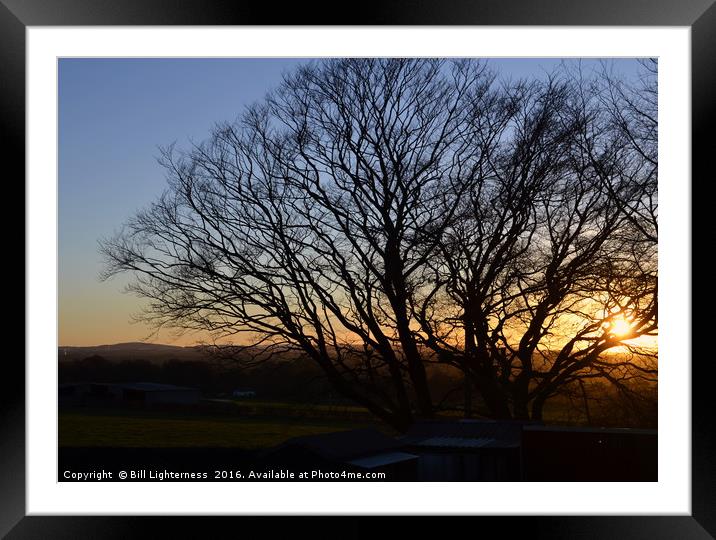 Sunset Through The Tree Framed Mounted Print by Bill Lighterness