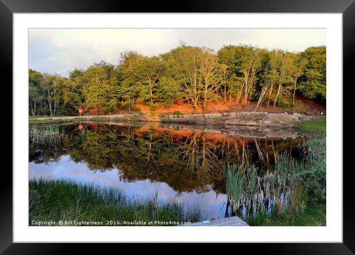 Like a Mirror Framed Mounted Print by Bill Lighterness