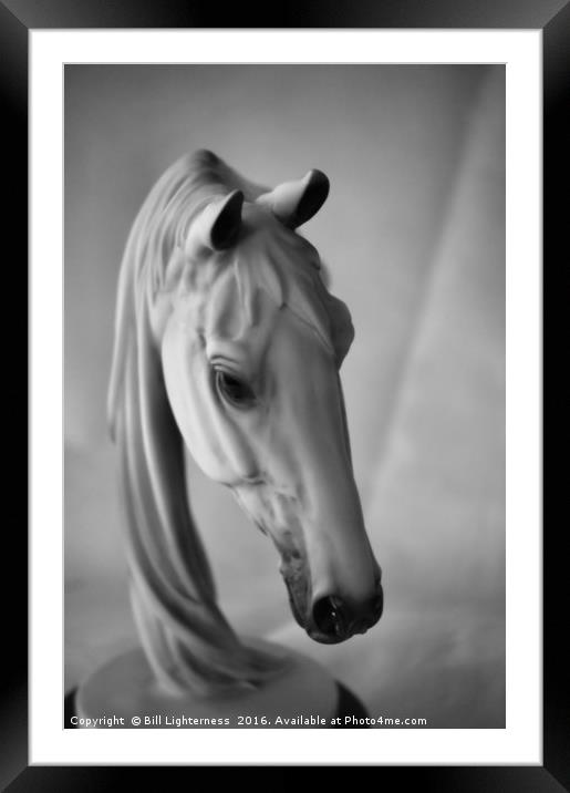 Equine Beauty Framed Mounted Print by Bill Lighterness