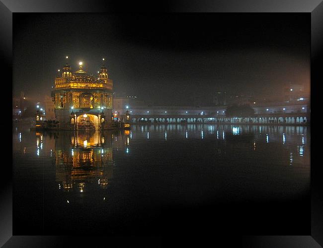 The Golden Temple at Night Framed Print by Sophia Yarwood