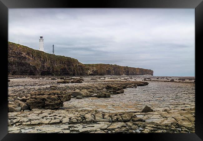 Rocky Lighthouse Framed Print by Purple OneTwoEight