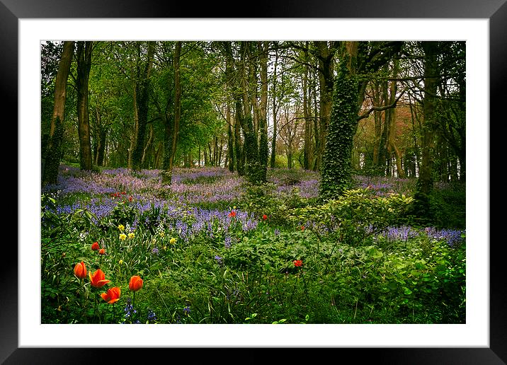 The Enchanted Wood Framed Mounted Print by Purple OneTwoEight