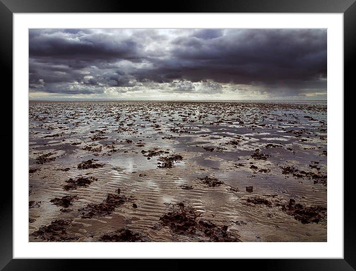  Autumn Beach Framed Mounted Print by Purple OneTwoEight