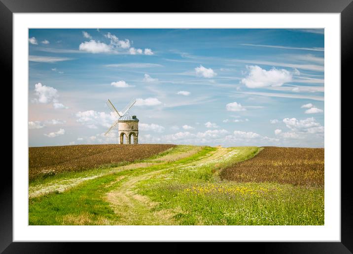 Summer Scene Framed Mounted Print by Purple OneTwoEight