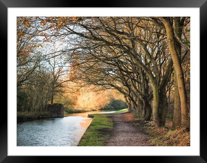 Canal Side Framed Mounted Print by Purple OneTwoEight