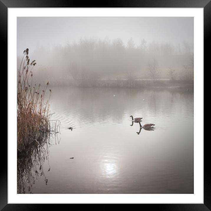 Sunny Foggy Morning Framed Mounted Print by Purple OneTwoEight