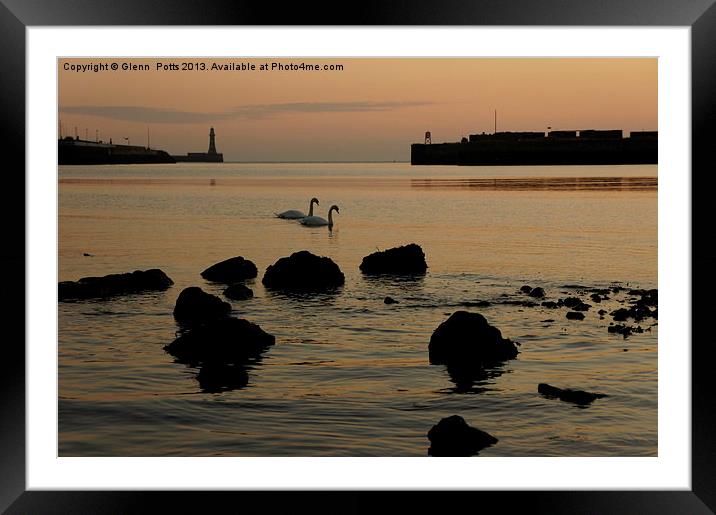 Sunderland Pier River Wear Swans Framed Mounted Print by Glenn Potts