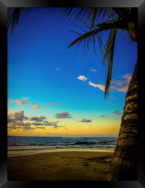 Palm Tree Sunset Framed Print by Laura Kenny