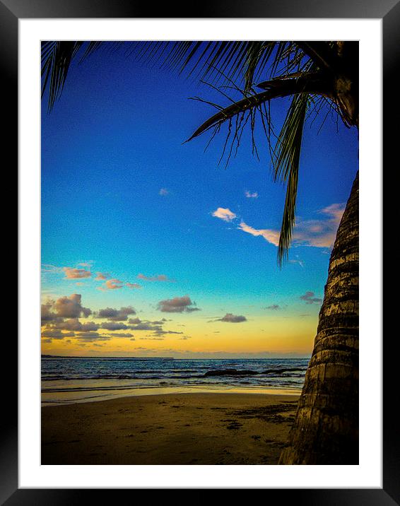 Palm Tree Sunset Framed Mounted Print by Laura Kenny