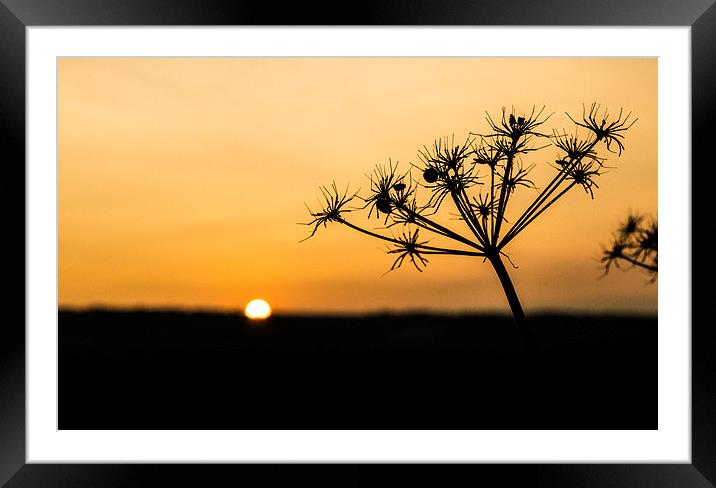  Silhouette Framed Mounted Print by Laura Kenny
