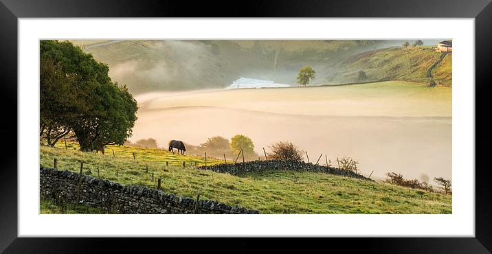  Early morning mist Framed Mounted Print by Laura Kenny