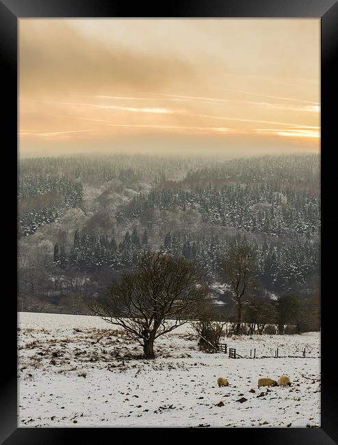 Winter in Goyt Valley Framed Print by Laura Kenny