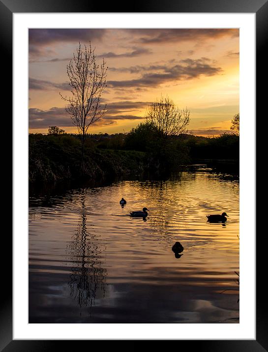  Evening on the water Framed Mounted Print by Laura Kenny