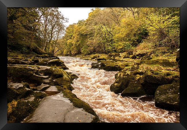 The Strid on the River Wharfe Framed Print by Peter McCormack