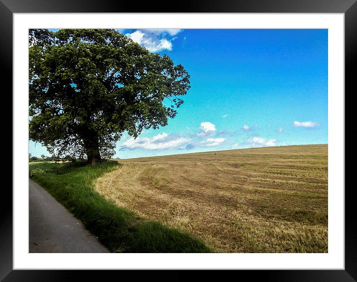 Mown field at Ashurst, West Sussex, England Framed Mounted Print by Peter McCormack