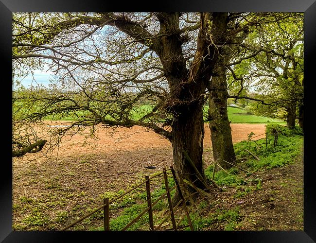 Edge of field outside Henfield, West Sussex, Engla Framed Print by Peter McCormack