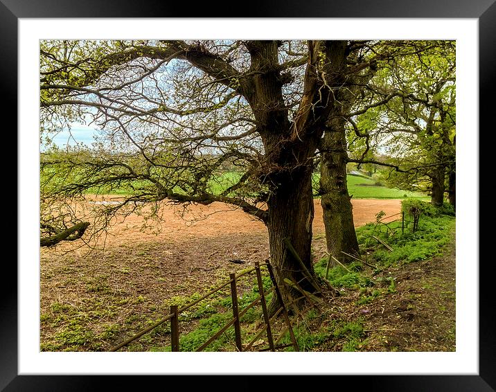 Edge of field outside Henfield, West Sussex, Engla Framed Mounted Print by Peter McCormack