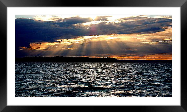 Jetty Island Sunset #1 Framed Mounted Print by Donna Read