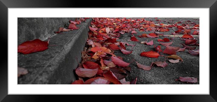 Autumn Leaves Framed Mounted Print by Paul Austen