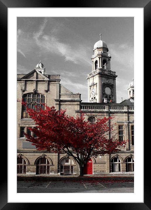Red Tree Framed Mounted Print by Paul Austen