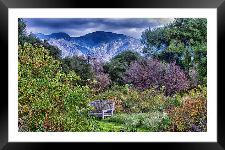 Down The Garden Path Framed Mounted Print by Anne Rodkin