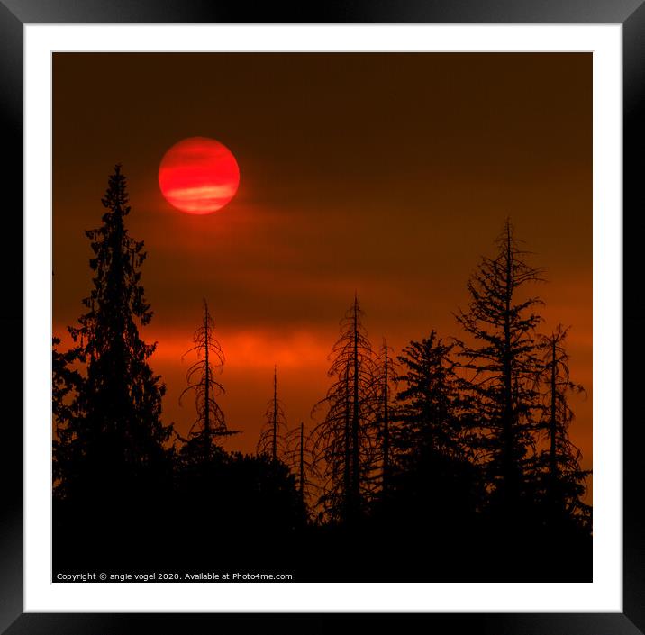 Red Sun Framed Mounted Print by angie vogel