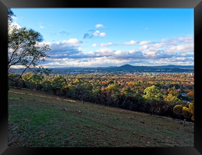 Canberra, Australia Framed Print by Steven Ralser