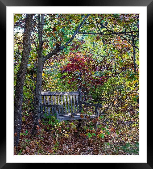 Arboretum bench Framed Mounted Print by Steven Ralser