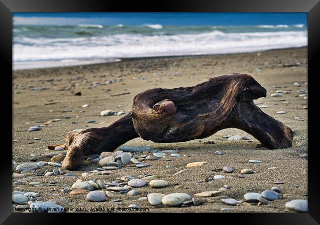 Driftwood - Okarita Beach - New Zealand 2 Framed Print by Steven Ralser