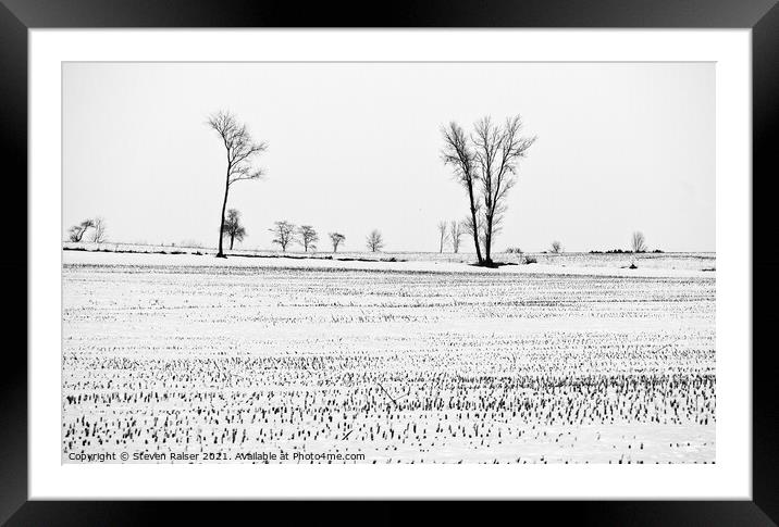 Trees in Snow 6 Framed Mounted Print by Steven Ralser
