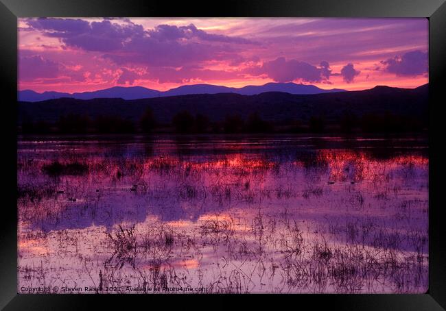Bosque sunset - purple Framed Print by Steven Ralser
