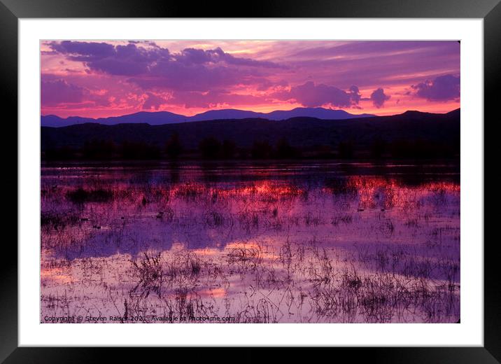 Bosque sunset - purple Framed Mounted Print by Steven Ralser