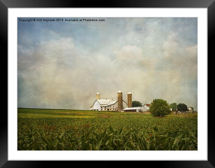 Amish Farmland Framed Mounted Print by Kim Hojnacki