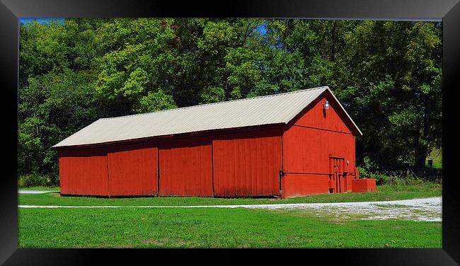 American Red Barn Framed Print by Pamela Briggs-Luther