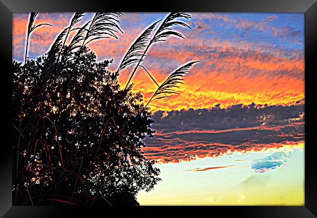 Autumn Sunset Framed Print by Pamela Briggs-Luther