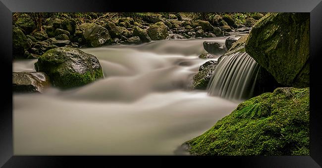  Iao stream in the Iao Valley State Park Framed Print by David Attenborough